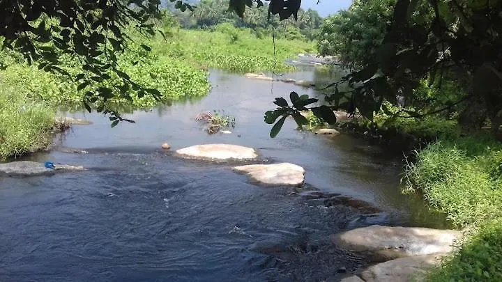 Homestay Aneys River View Home Stay & Resort Palakkad